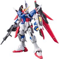 Bandai RG Destiny Gundam ZGMF-X42S Mobile Suit Model Kit