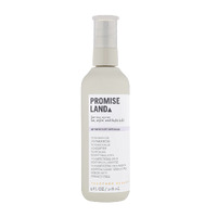Together Beauty Promise Land Setting Spray 148mL