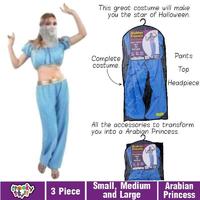 Women's Princess Jasmine Costume - Large - 172cm Height